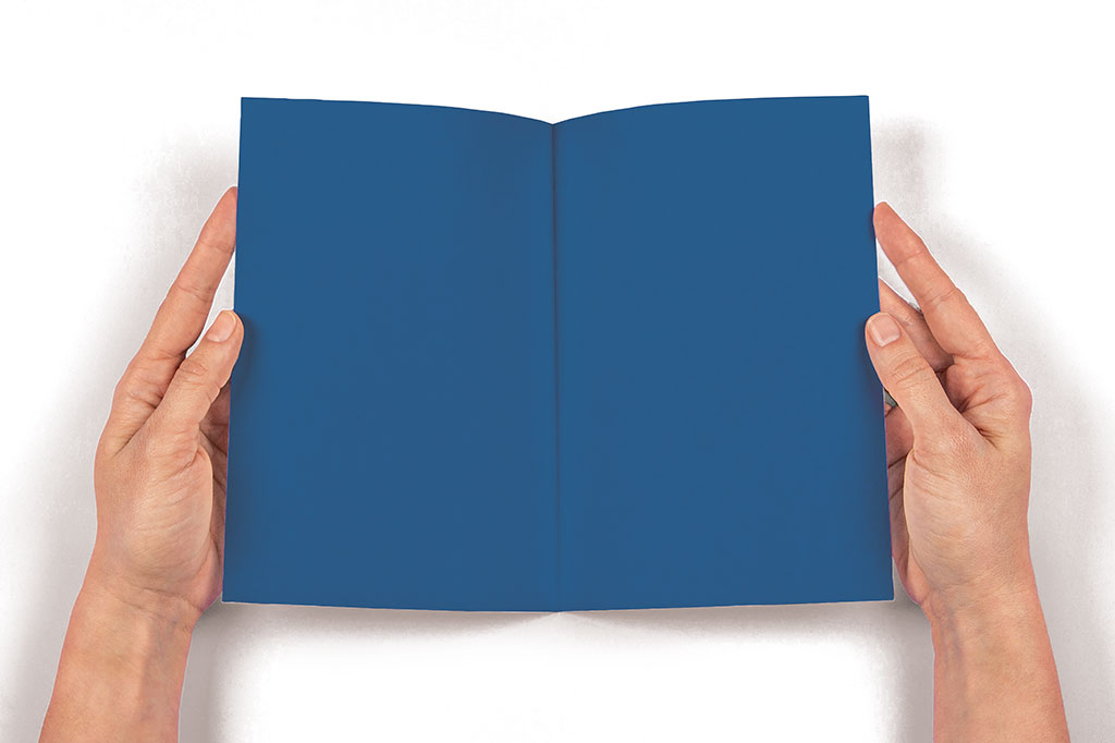 Conexão: quantos livros você lê por mês?