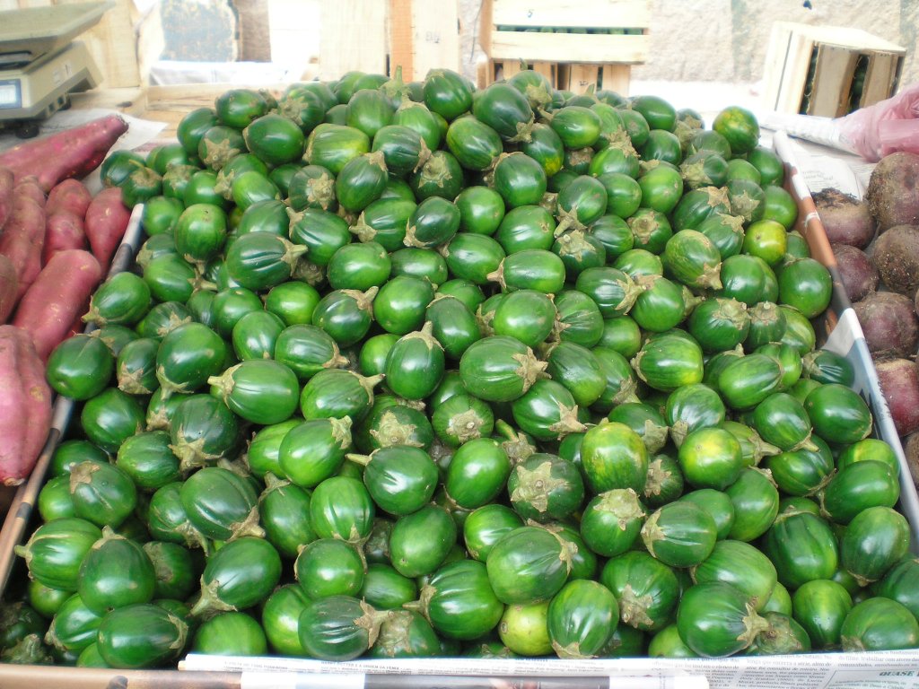 Jiló: conheça os benefícios e como inserir na alimentação