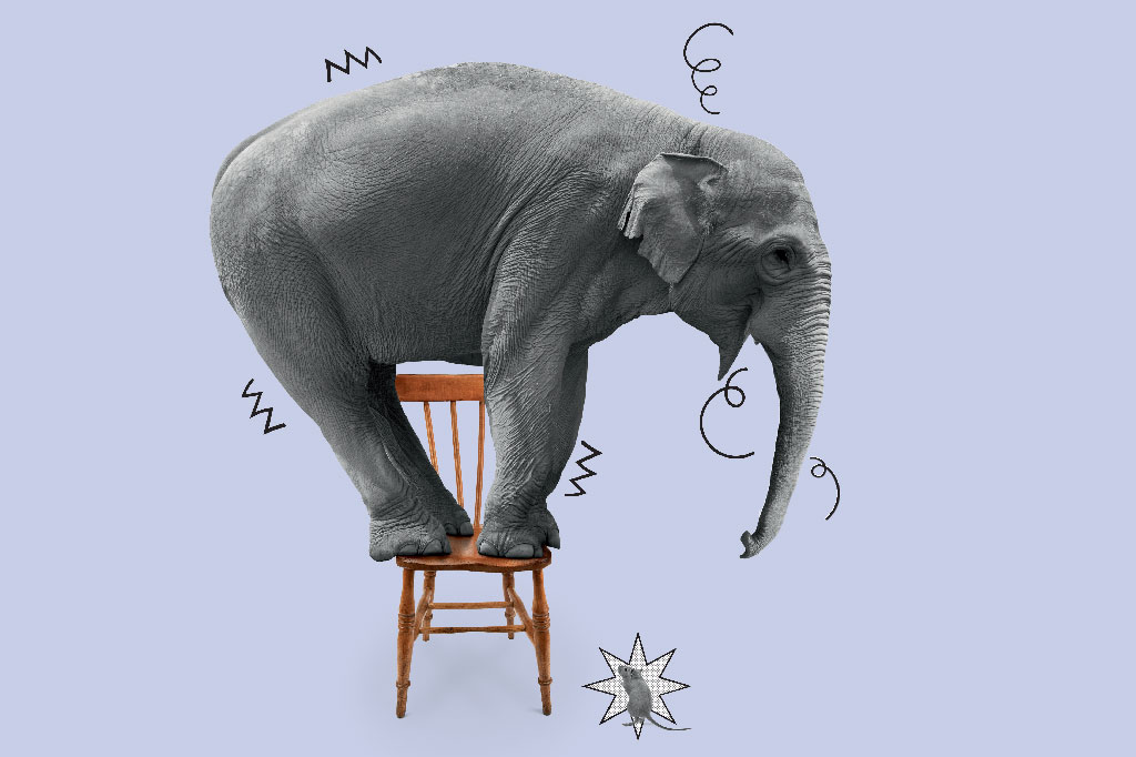 Perca o medo do medo