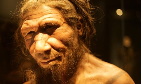 neandertal