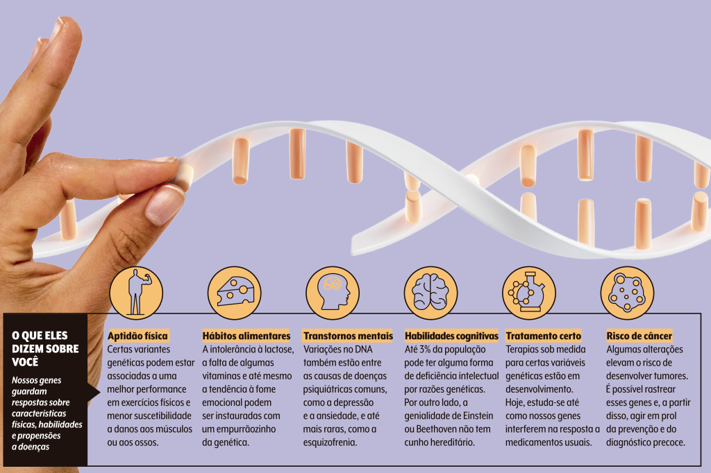 genetica-determinante genetica-determinante