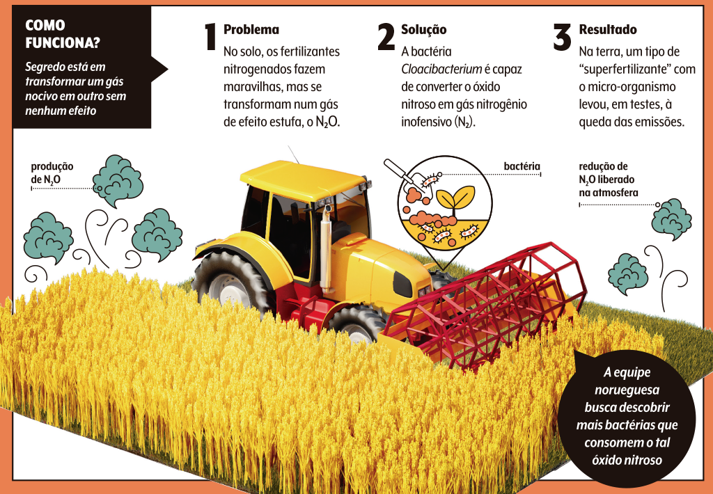 saude-ecossistema-efeito-estufa-agricultura-bacteria-estudo