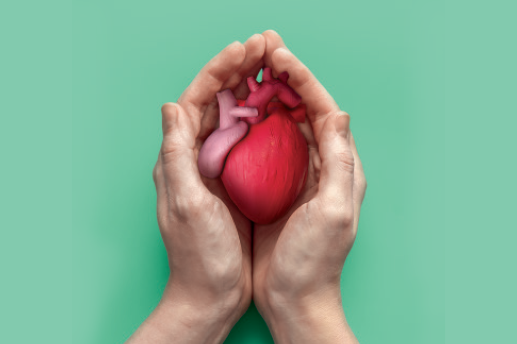 Doença cardiovascular: o elefante na sala