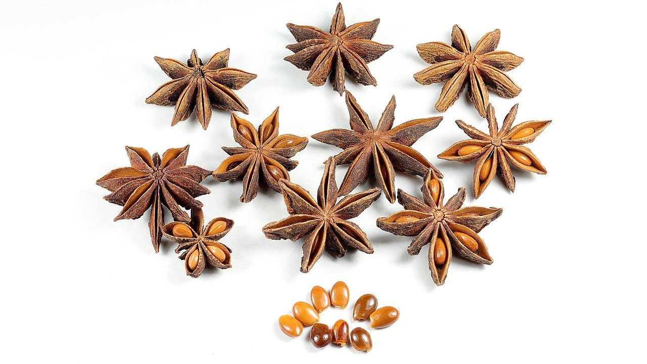 anis-estrelado