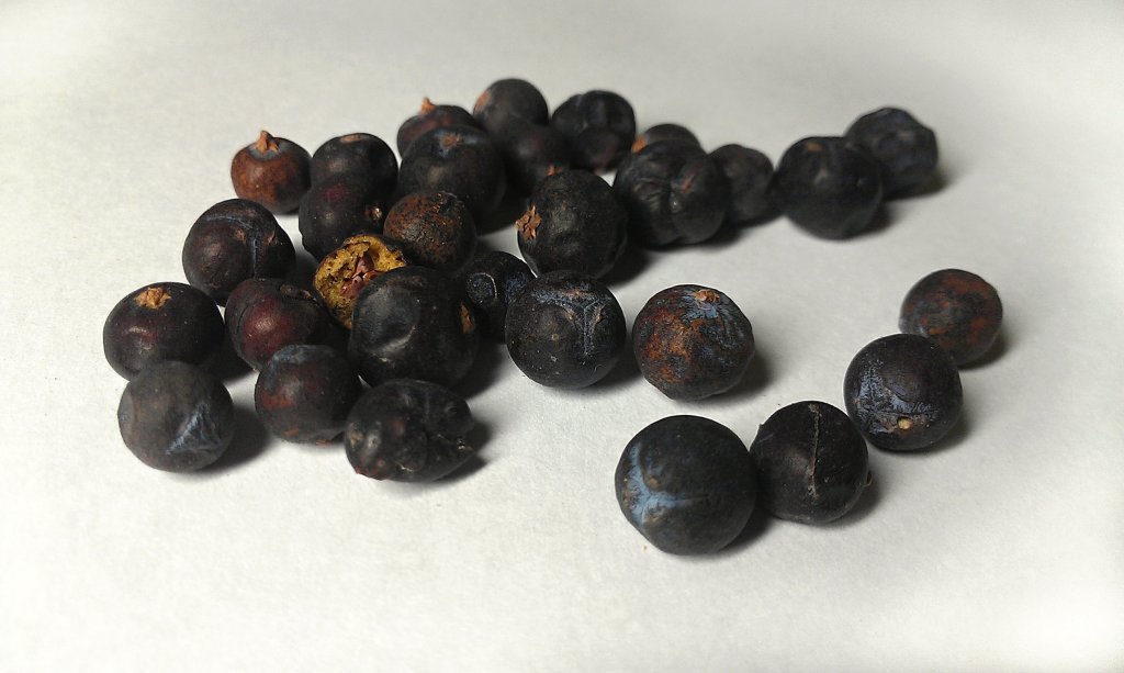 Zimbro: cheio de sabor e com possíveis benefícios à saúde