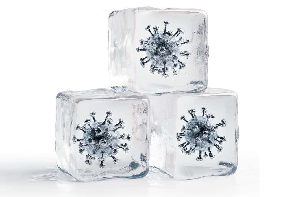 Os vírus que nos esperam no gelo