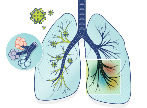premio-inovacao-medica