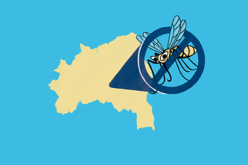 510-radar-lugar-brasil-mosquito brasil-elefantiase