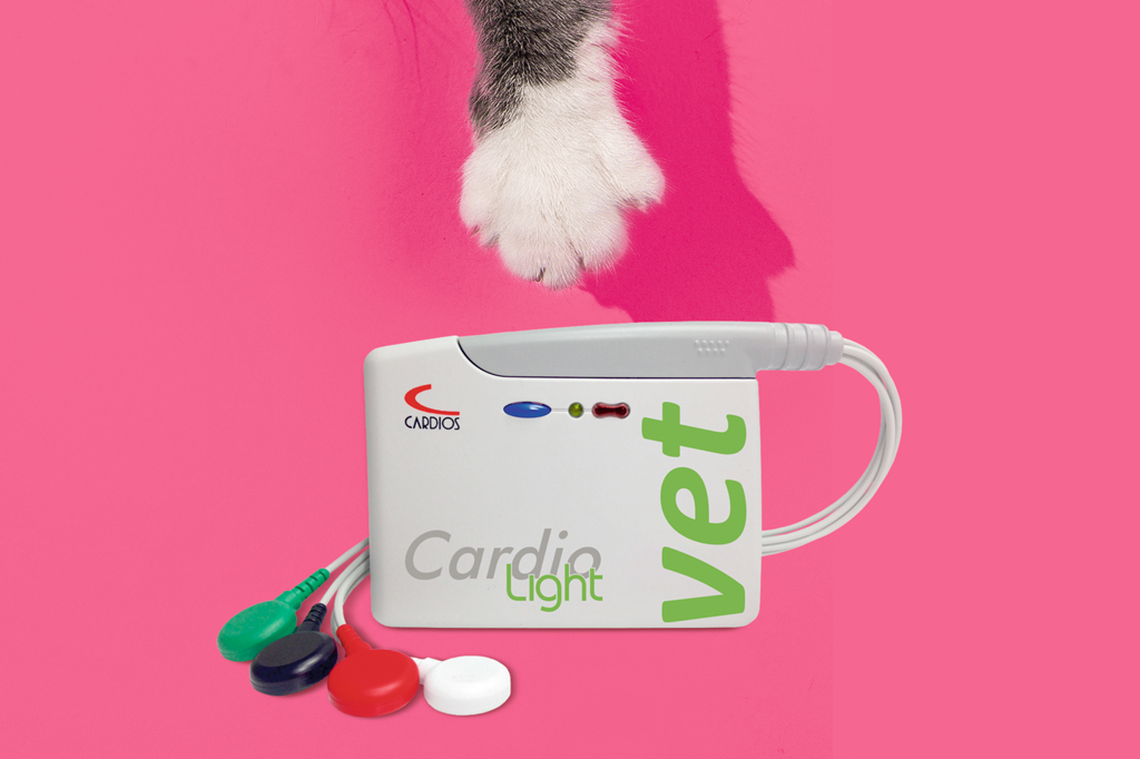 Coração monitorado: novo holter para pets chega ao país
