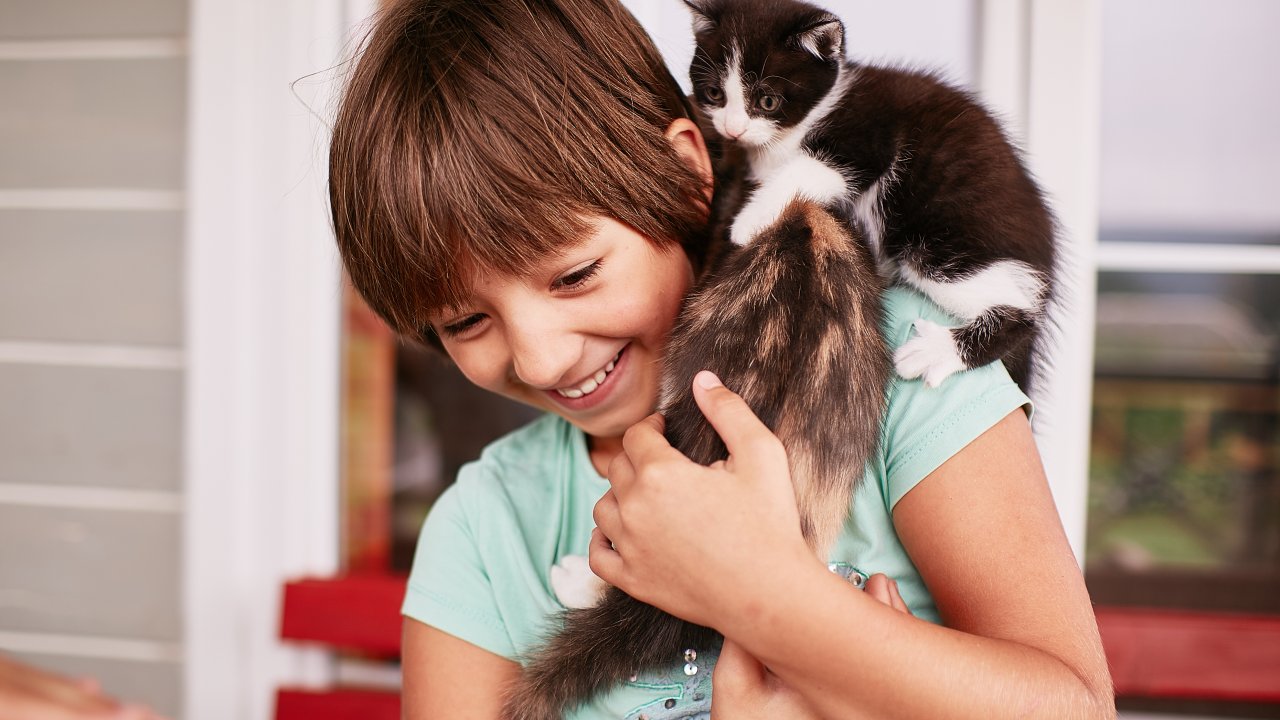 criança-pet-gato-cachorro