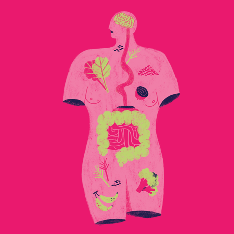 Capa de: O eixo intestino-cérebro: uma rota fascinante de descobertas