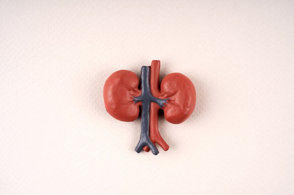 Doença renal crônica: por que poucos pacientes fazem diálise peritoneal?