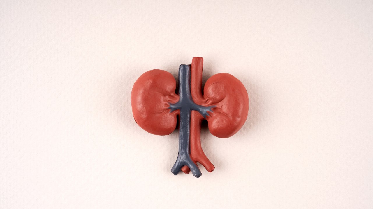 dialise-peritoneal