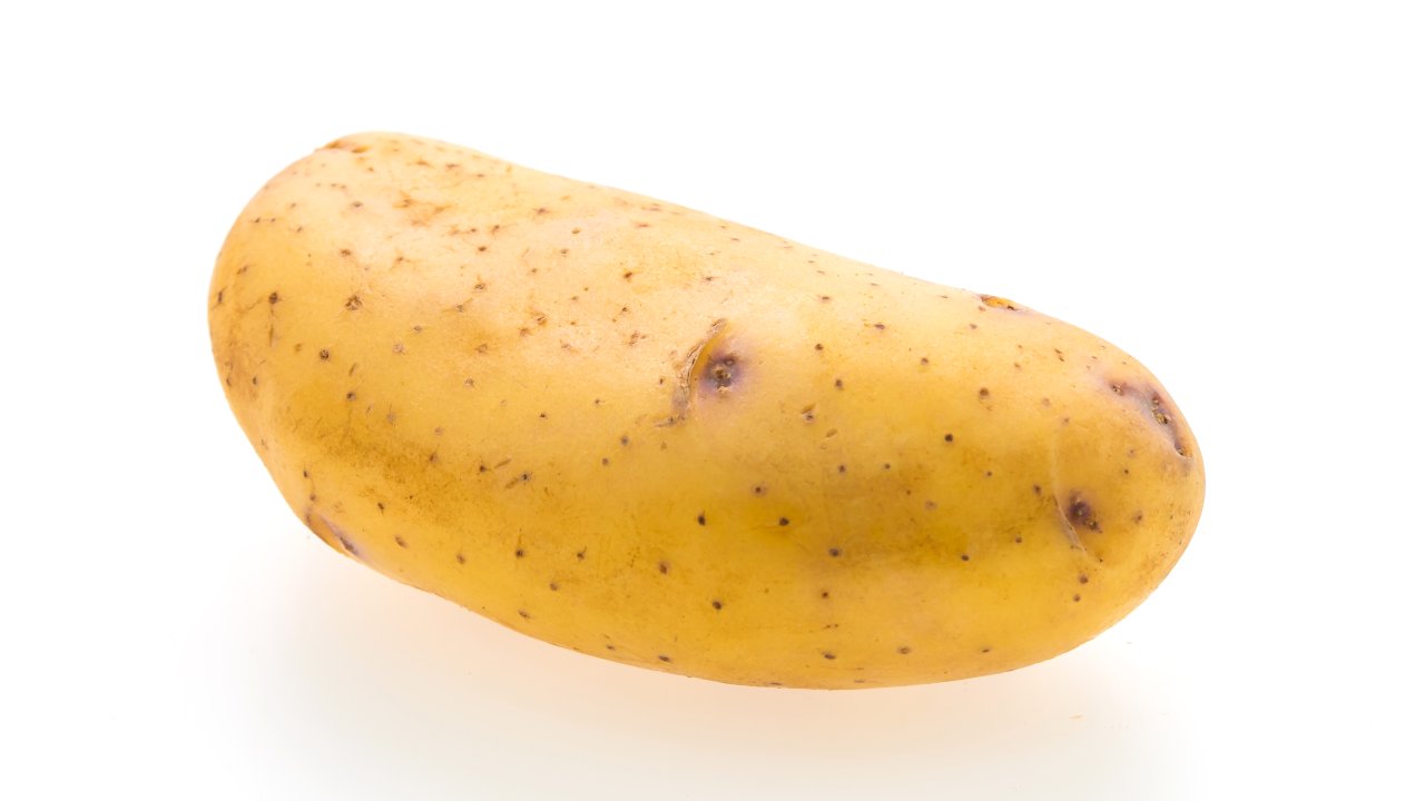 batata-inglesa-branca