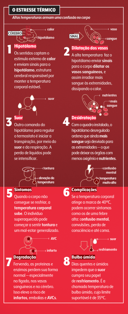 efeito-do-calor-no-corpo efeitos-do-calor-no-corpo