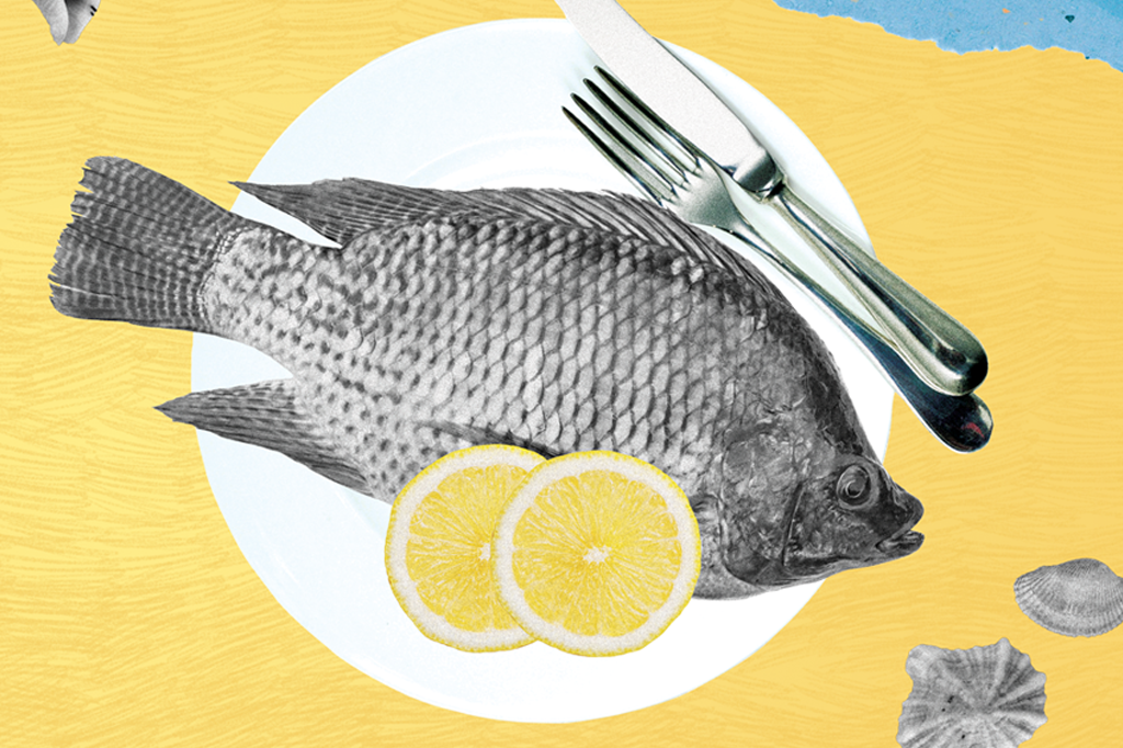 alimentacao-peixes