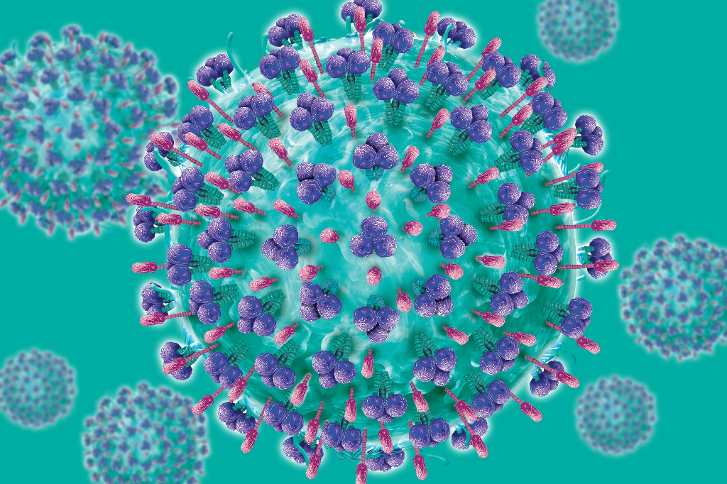 virus-vsr