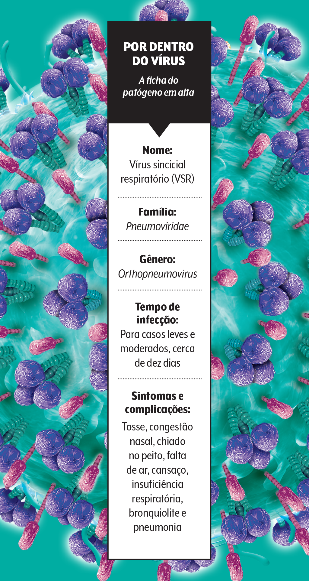 virus-vsr