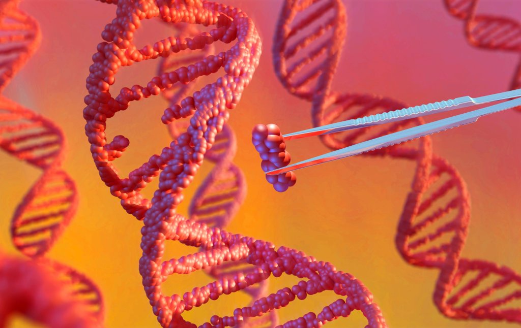 Zolgensma: como funciona um dos remédios mais caros do mundo