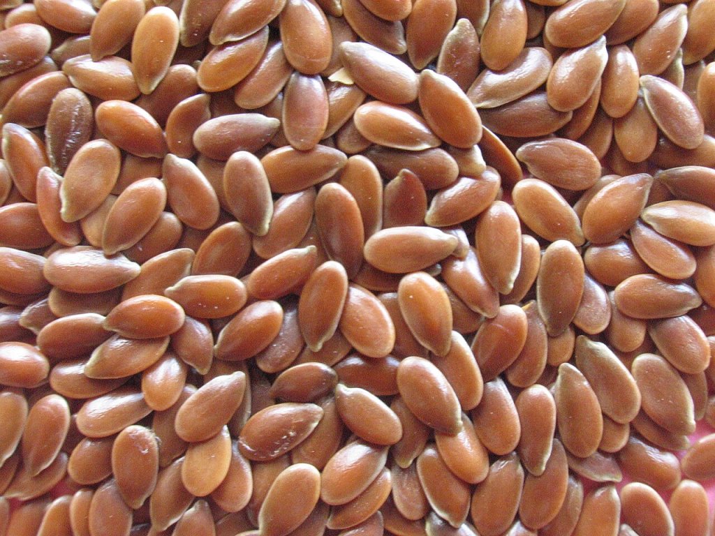 Linhaça: conheça os benefícios, tipos e como inserir na dieta