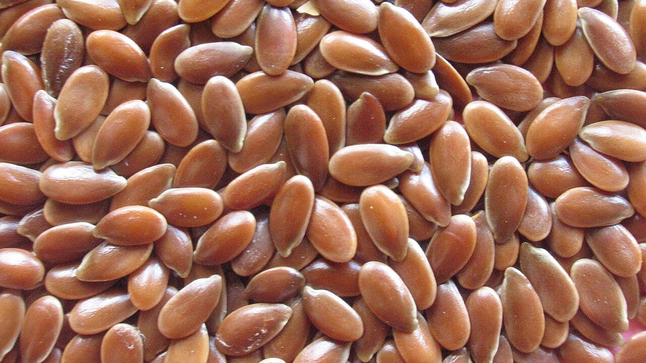 linhaca-marrom-beneficios