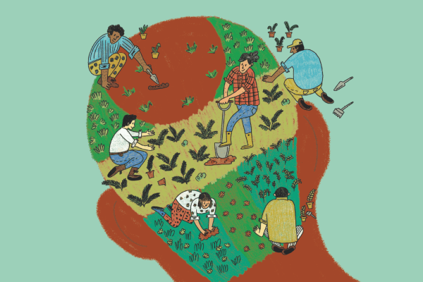 materia-terapia-capilar-capa