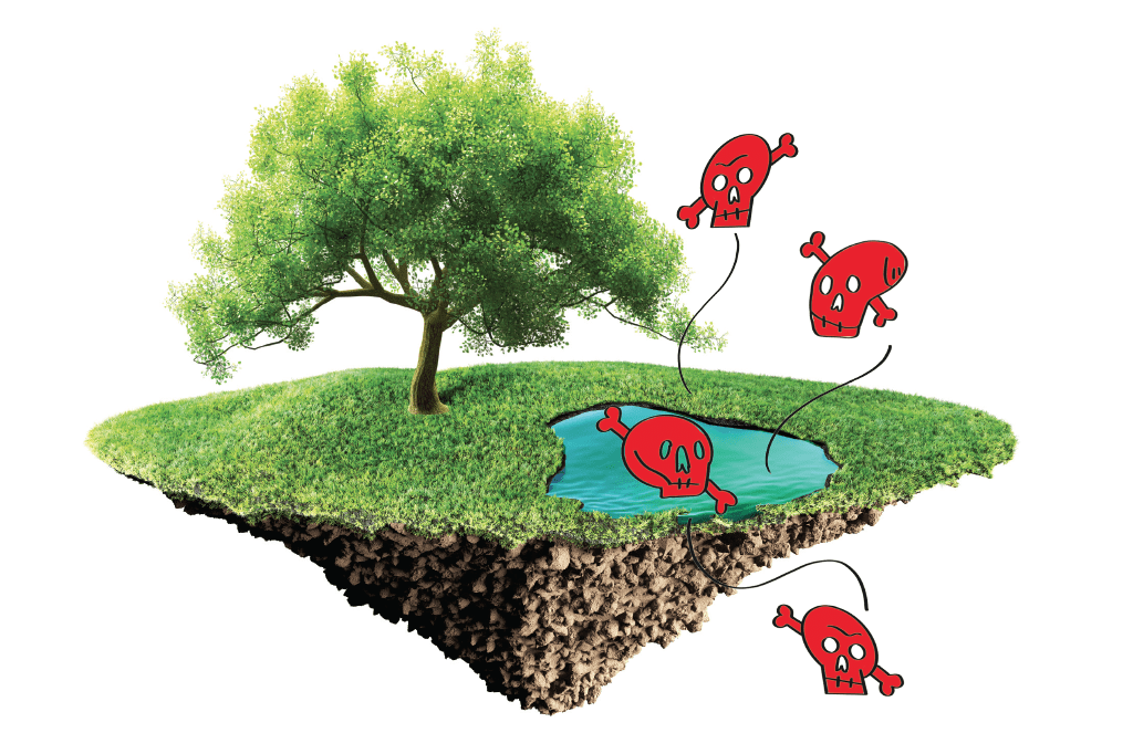 agrotoxicos-areas-preservadas