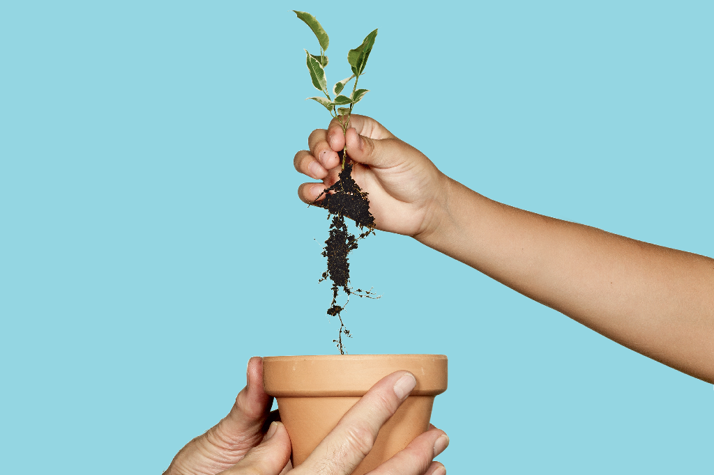 saude-envelhecer-geracoes-longevidade