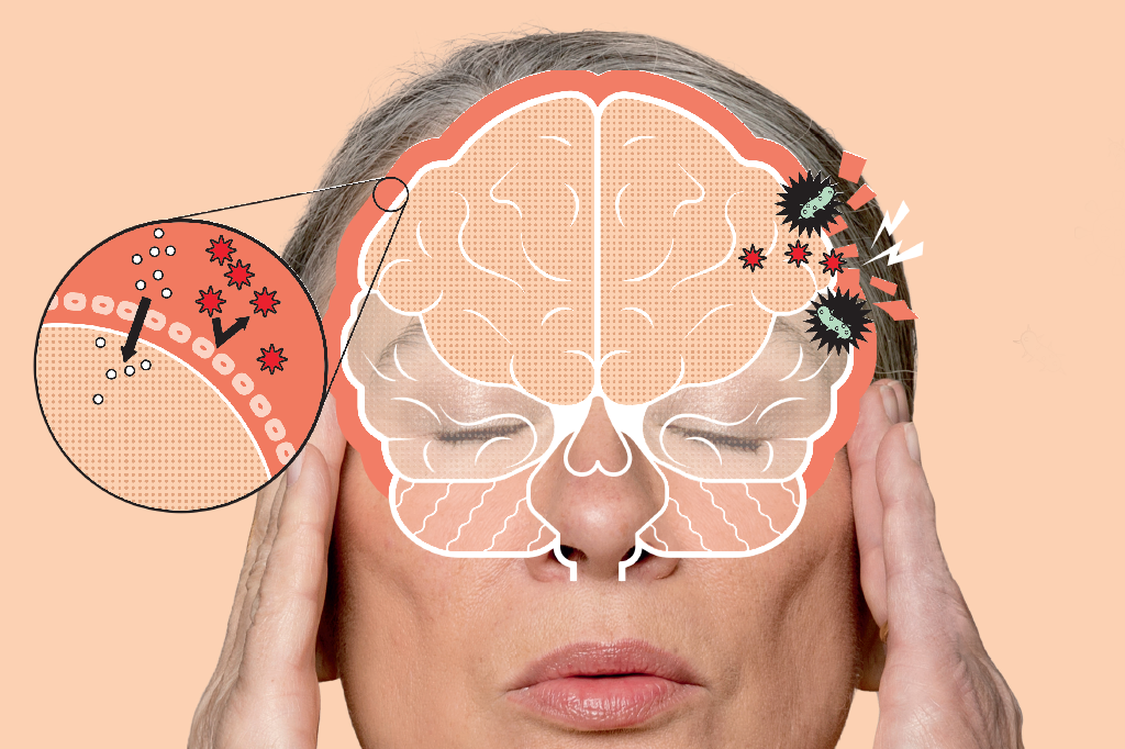 O que é a barreira hematoencefálica, que protege o cérebro de doenças?