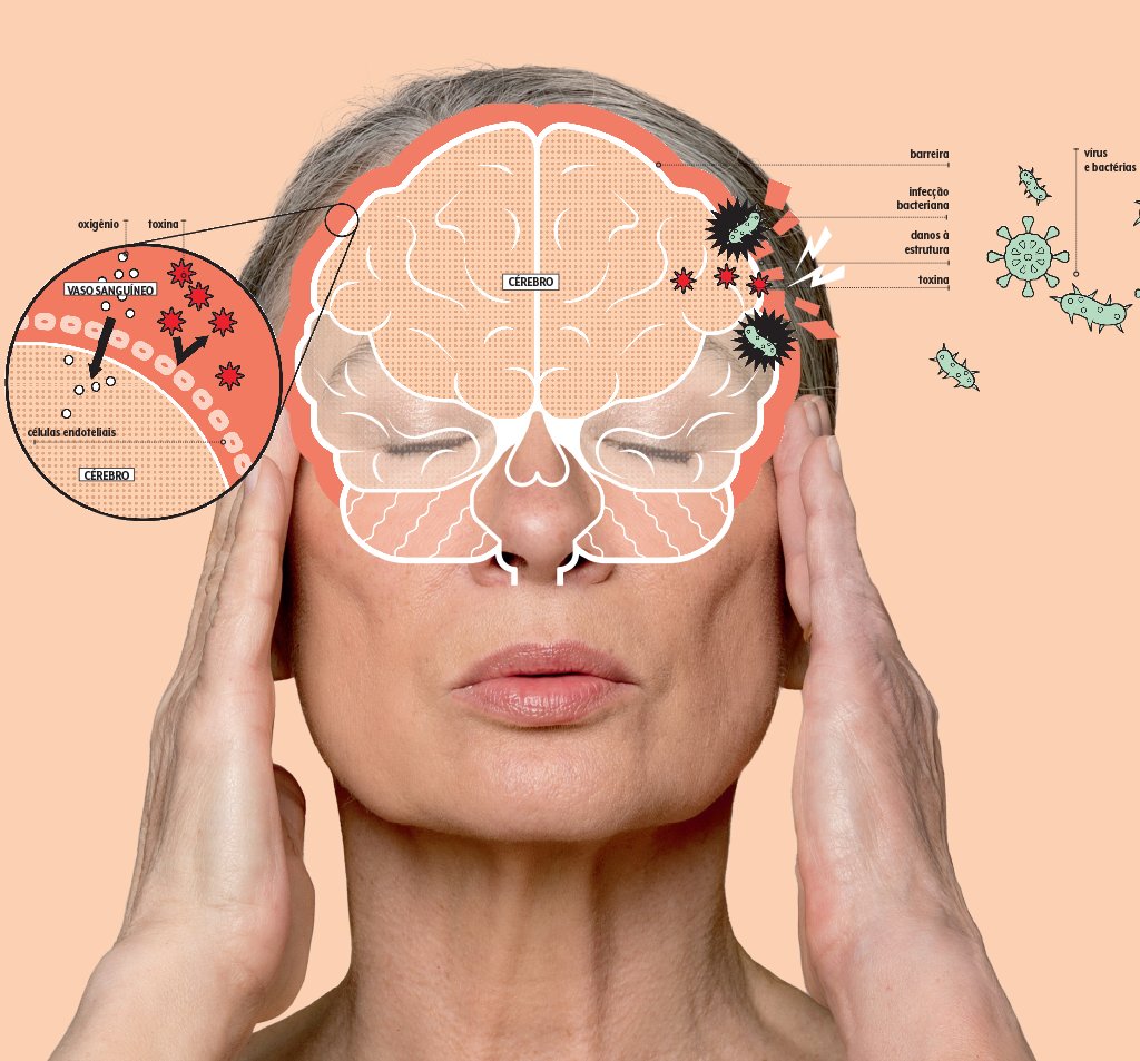 barreira-hematoencefalica
