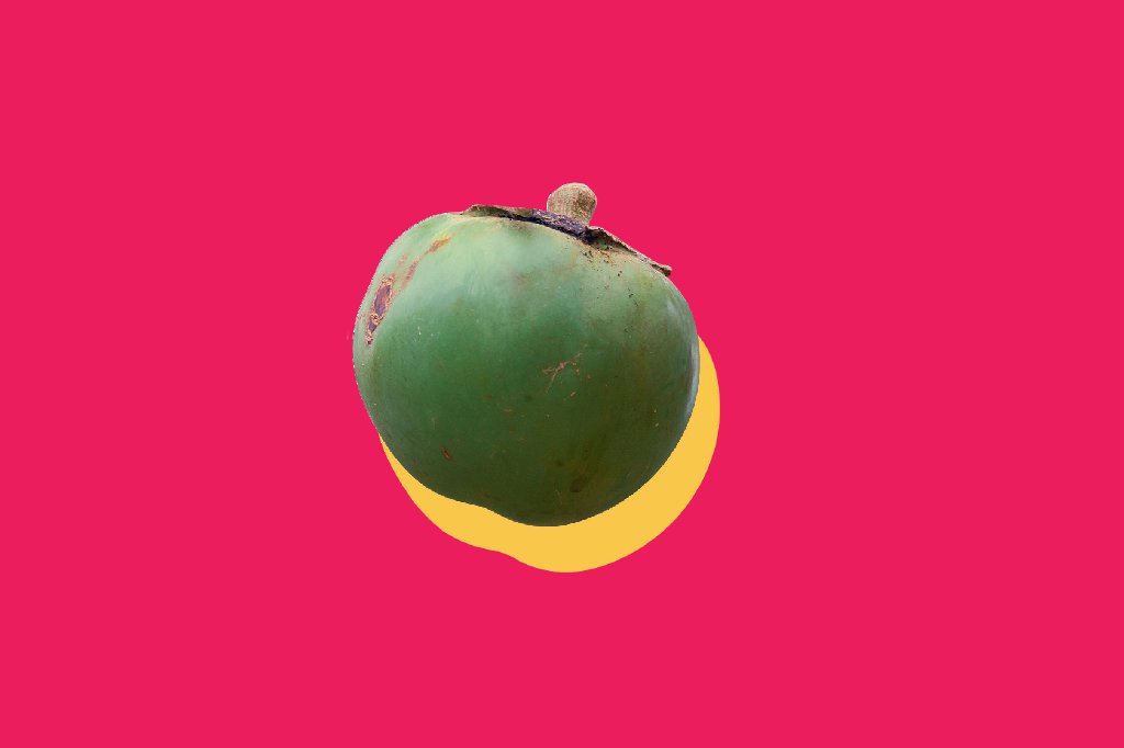 alimentacao-frutos-cerrado-lobeira