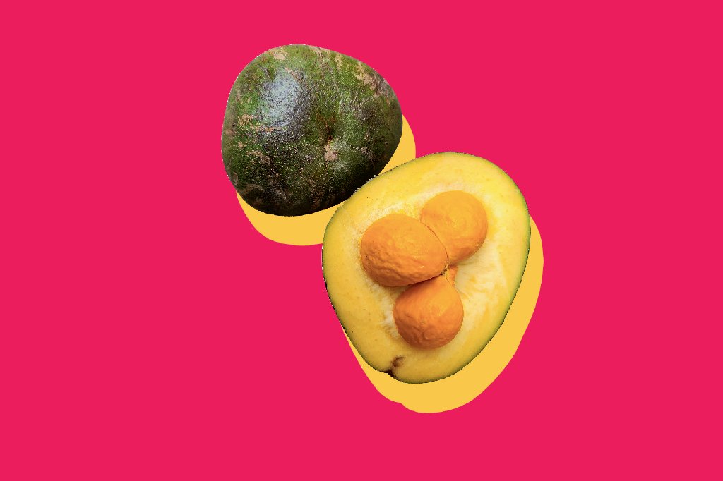 alimentacao-frutos-cerrado-pequi