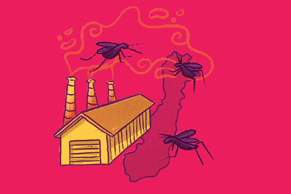 mosquitos-wolbachia-dengue