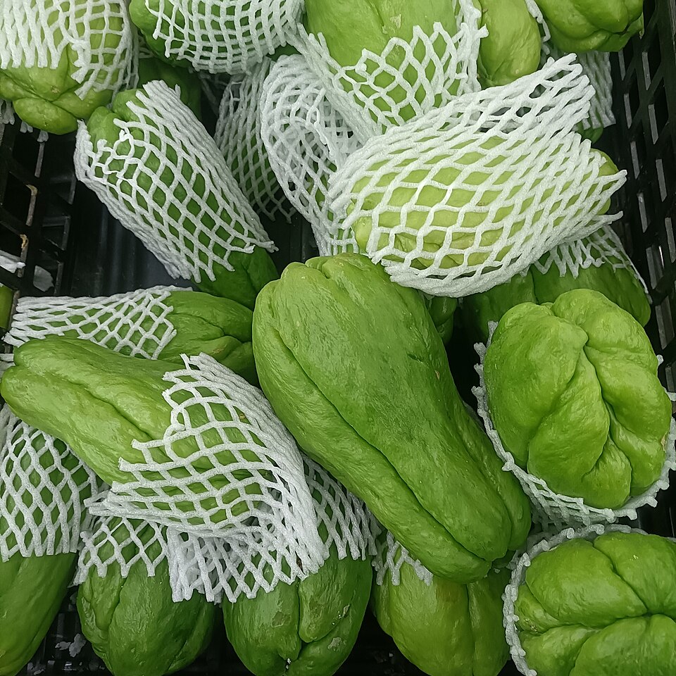 chuchu-cha