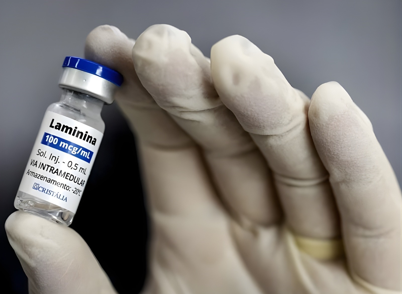 polilaminina
