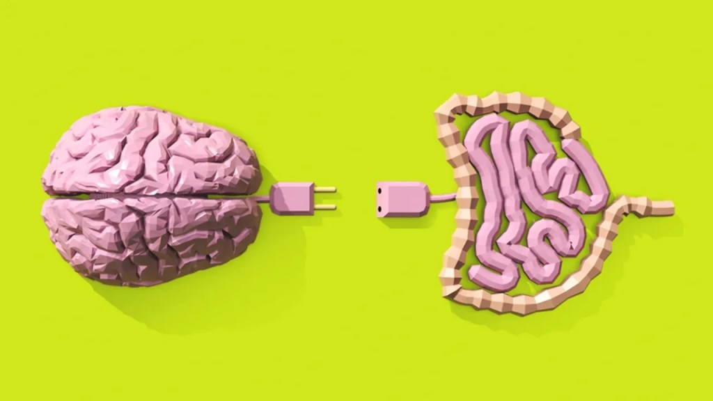 O telefone sem fio entre intestino e cérebro que atrapalha o emagrecimento
