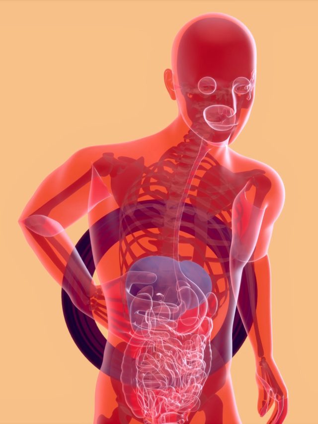 cropped-abstract-3d-anatomy-digestive-system.jpg