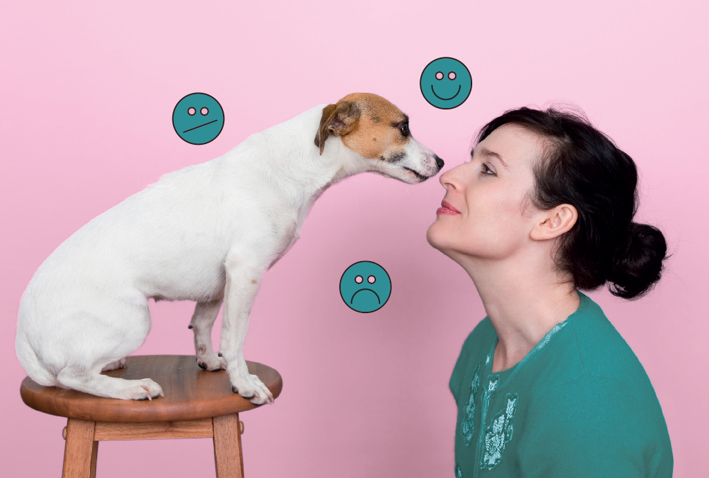 Cachorros reconhecem emoções dos humanos, especialmente as negativas